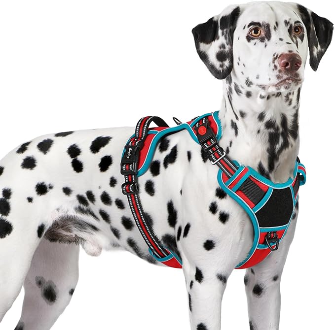 Eagloo Dog Harness for Large Dogs, Easy Wearing with 3 Buckles, Adjustable No Pull Pet Harness with 2 Rings for Walking, No Chock Reflective Soft Padded Vest with Control Handle, Red & Teal, XL-PurrikoPets
