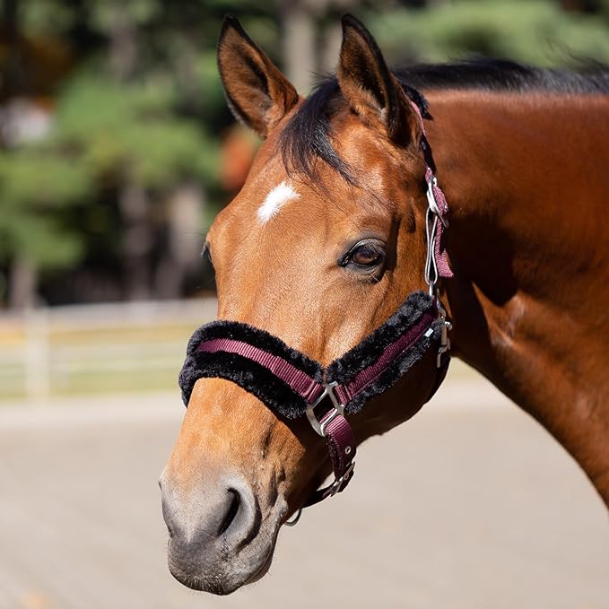Equinavia Valkyrie Soft Ultra Fleece Padded Adjustable Breakaway Horse Halter - Wine Red/Black - Cob-PurrikoPets