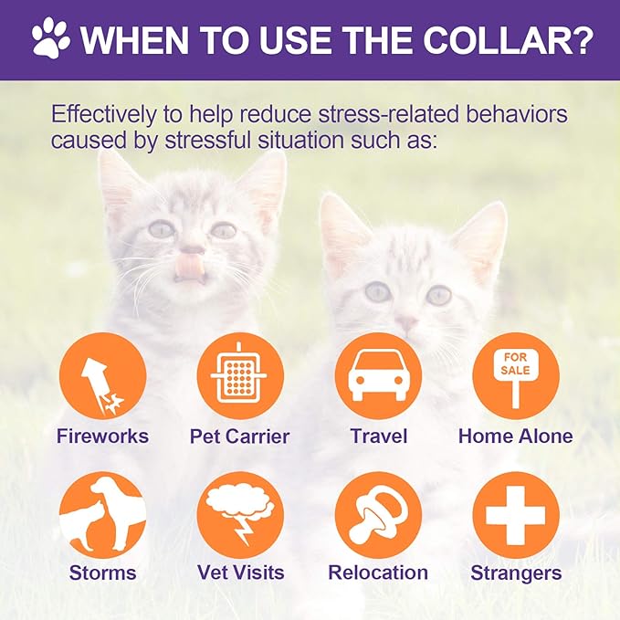 4 Pcs Cat Calming Collar Adjustable Lavender Scent Relaxing Cat Collar with 2 Pendant for Puppies Reduce Stress Aggression Anxious, up to 15 Inches(Purple, Gold)-PurrikoPets