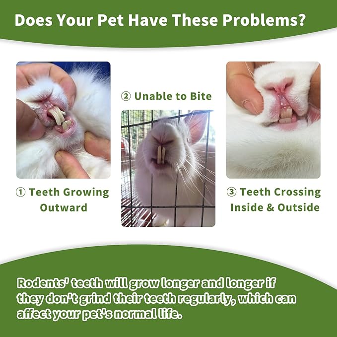 Fhiny Rabbit Chew Toys, 6 PCS 3.9" Natural Papaya Wood Chew Sticks Guinea Pig Treats for Dental Care Bunny Treats for Rabbits Small Pet Molar Snacks for Bunny Guinea Pig Chinchilla Hamster Gerbil-PurrikoPets