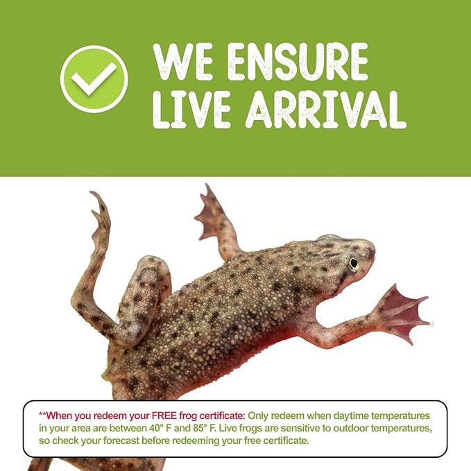 African Dwarf Frog Starter Kit- Includes Certificate for 2 Live Frogs- All-in-One Bundle with Book, Small Aquarium, Food, Instructions Now-PurrikoPets