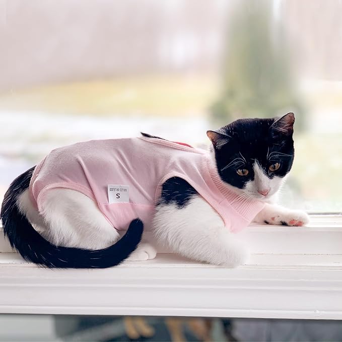 DOTON Cat Recovery Suit for Male and Female Surgical Post Surgery Soft Cone Onesie Shirt Clothes Neuter Licking Protective Diapers Outfit Cover Kitten Spay Collar(M, Pink)-PurrikoPets