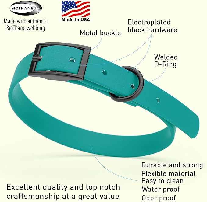 Dogline Biothane Waterproof Dog Collar Strong Coated Nylon Webbing with Black Hardware Odor- Proof for Easy Care Easy to Clean High Performance Fits Small Medium or Large Dogs, Blue Aqua-PurrikoPets