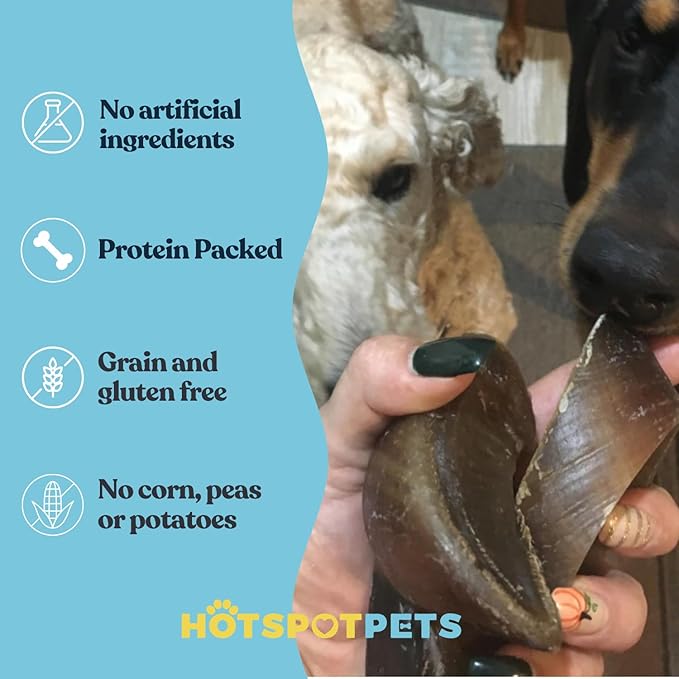 Full-Size Cow Hooves for Dogs | (5 Pack) All-Natural Long Lasting Dog Chews | Made from Grass Fed Cattle | Tasty Treat for Oral Hygiene | Fantastic Alternative for Rawhide and Bully Sticks-PurrikoPets