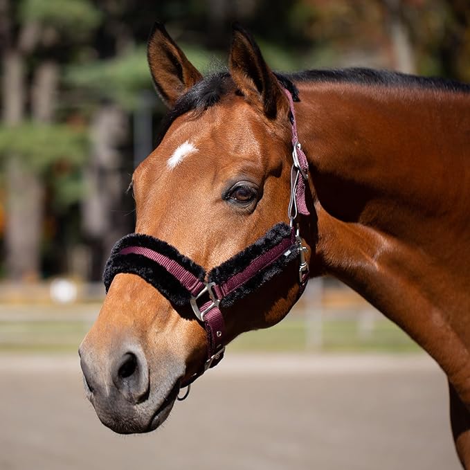Equinavia Valkyrie Soft Ultra Fleece Padded Adjustable Breakaway Horse Halter - Wine Red/Black - Warmblood-PurrikoPets