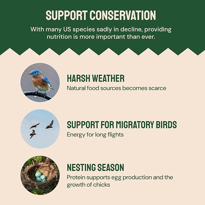 Dried Mealworms - 2 Lb Bag - High Protein Chicken Feed, Mealworms for Birds & Chickens - Meal Worms for Wild Birds & Turtles-PurrikoPets