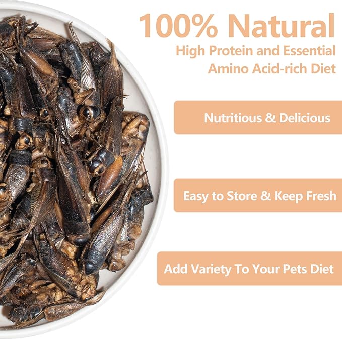 Freeze Dried Crickets – 2.8 Oz High Protein Freeze Dried Crickets, Food for Reptiles, Bearded Dragons, Lizards, Geckos, Birds, Fish,Hedgehogs, Bearded Dragon Food-PurrikoPets