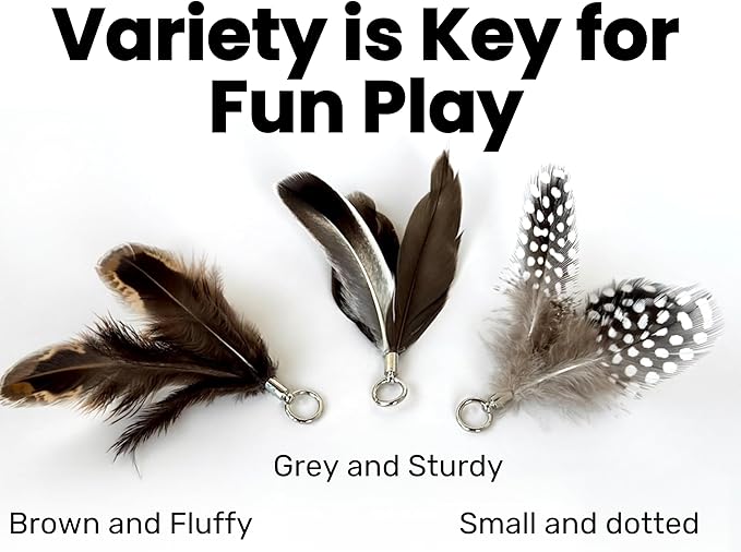 Feather Toys Replacements (3 Pc) - Cat Toys & Kitten Toys for Indoor Kittens, Set of Replacement Feather Attachments Extra Small and Durable, for Cat Wands, Natural and Safe-PurrikoPets