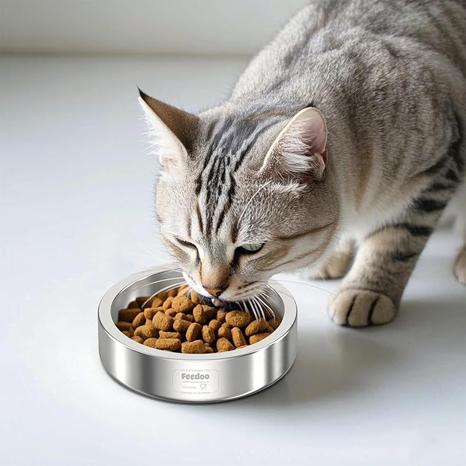 20oz Stainless Steel Cat Food & Water Bowl - Double Walled 304 Stainless Steel Non-Slip Cat Dish | BPA-Free & Dishwasher Safe for Indoor Cats-PurrikoPets