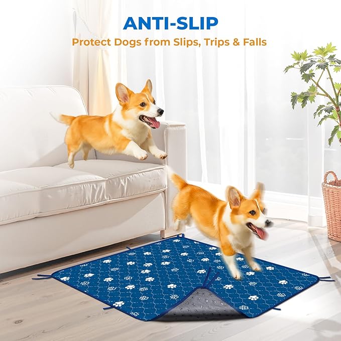 Fostanfly Washable Pee Pads for Dogs, 2 Pack Large 36"x48" Ultra-Absorbent and Leak-Proof Non-Slip Reusable Potty Training Pads for Dogs, Puppy & Cats of Add 8 Lanyards-Blue-PurrikoPets