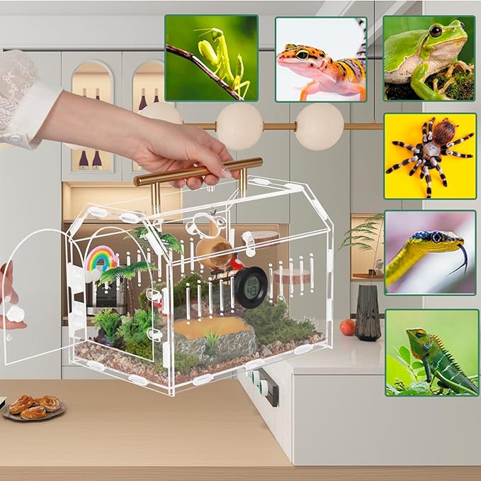 Acrylic Tarantula Enclosure – Escape-Proof Reptile Terrarium with Magnetic Lock, Front Opening for Easy Cleaning, Ideal for Jumping Spiders, Hermit Crabs & Small Pets-PurrikoPets