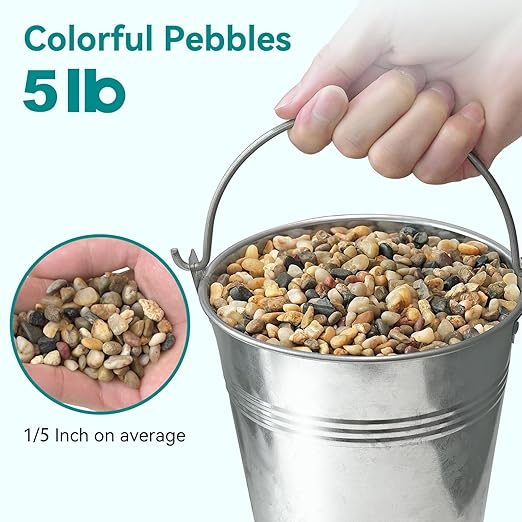5 lbs Small Rocks for Plants, 1/5 Inch Gravel for Plants Drainage, Decorative Potting Pebbles for Indoor Plants, Vases, Bamboo, Succulent, Terrarium, Crafts, Cactus-PurrikoPets