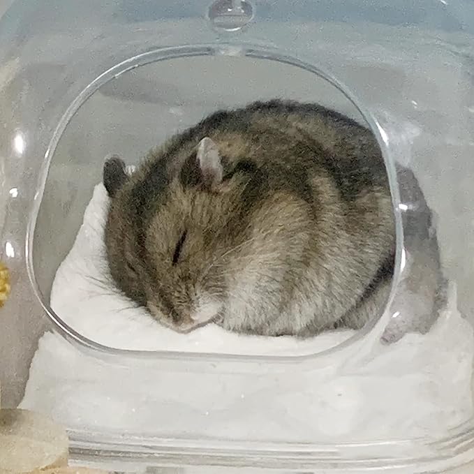 DR.DUDU Hamster Bath Sand, 6.6lb Dust Free Desert Sand or Potty Litter Sand for Hamster Chinchillas Gerbil Syrian Mice Small Animals (White)-PurrikoPets