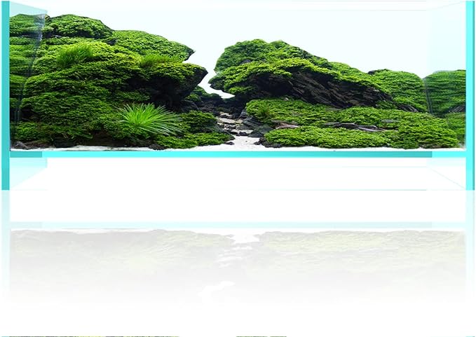 Fzone 1.7 Gal Nano Rimless Aquarium Low Iron Fish Tank NovaClear Ultra-White Translucent Glass Verso Series Nano Shallow Pond Levitating Floating Air Aquarium(A30-W18)-PurrikoPets