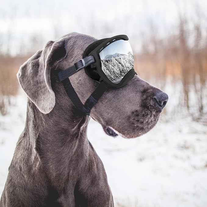 Dog Goggles for Large Dogs, UV Wind Dust Fog Protection, Soft Frame Adjustable Dog Sunglasses, Summer Driving & Winter Snow Eyewear, Tactical Pet Glasses with Elastic Strap (Black)-PurrikoPets