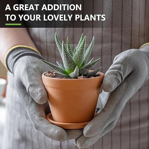 2.5lbs Small Rocks for Terrarium, Planters Drainage, 1/5 Inch Lava Rock for Bonsai Tree, Decorative Gravel for Succulents, Bamboo, Cactus, Mixed Color-PurrikoPets