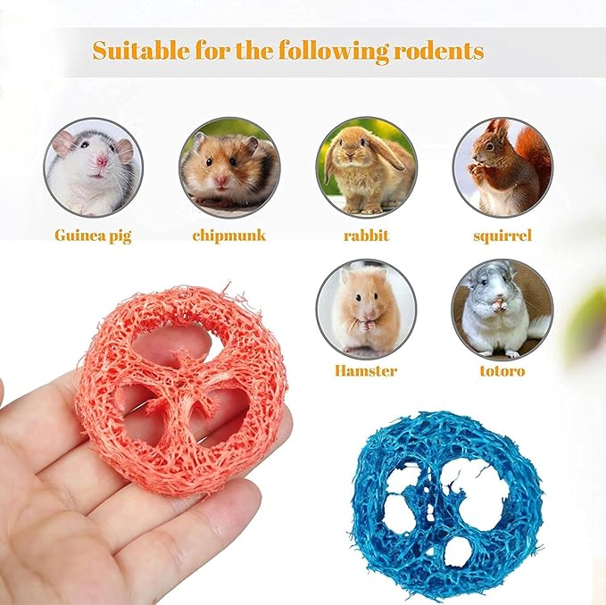 15 Pcs Fruit Flavored Loofah Slices Rabbit Chew Toys Guinea Pig Chew Toys Small Pet Chews Bunny Toys for Teeth Rabbit Toys-PurrikoPets
