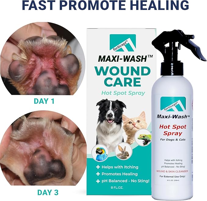 Forticept Maxi-Wash Hot Spot Spray Treatment, Wound Care & Itch Relief Spray for Dogs and Cats. Relives Scratching, Rashes, Sores, Itchy Skin and Paw Licking 8 oz-PurrikoPets