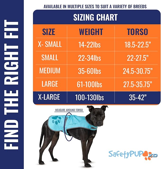 Dog Reflective Vest – Hi-Vis Fluorescent Visibility That Helps to Safeguard Your Pet On/Off Leash in Urban & Rural Areas (Teal, X-Large)-PurrikoPets