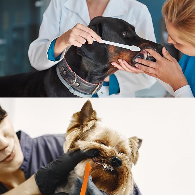 200 Pcs Dog Toothbrush Cat Tooth Brushes Bulk, Double Sided Brushing Kit, Teeth Cleaning Kit Soft Bristles Long Handle, Pet Tooth Brush for Small to Large Dog, Cat, Puppy & Kitten, 10 Colors-PurrikoPets