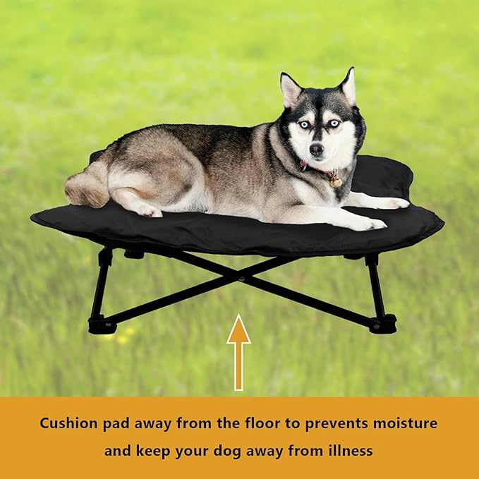 Elevated Dog Bed, Portable Raised Pet Cot for Outdoor and Indoor Folding Dog Cot Bed with Padded Filling Carrying Bag Included Pet Raised Travel Lounger for Camping Traveling (36x36x12inch)-PurrikoPets