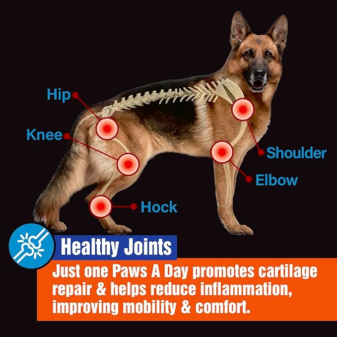 Glucosamine for Dogs Hip & Joint Supplement – “Two-in-One Combo” Dog Joint Care and Improved Skin & Coat with Chondroitin, MSM, Omega 3, Collagen & Biotin, 60 Chewable Tablets-PurrikoPets
