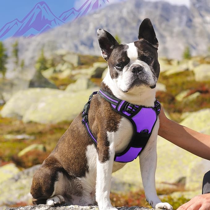 Eagloo Dog Harness Medium Sized Dog, No Pull Service Vest with Reflective Strips and Control Handle, Adjustable and Comfortable for Easy Walking, No Choke Pet Harness with 2 Metal Rings, Purple, M-PurrikoPets