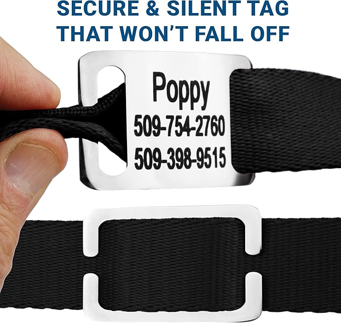 GoTags Personalized Dog Collar with Nameplate, Adjustable Dog Collar with Custom Engraved Slide On Pet ID Tag in Stainless Steel, Silent, No Noise Dog Tag for Large Medium and Small (Black, Small)-PurrikoPets