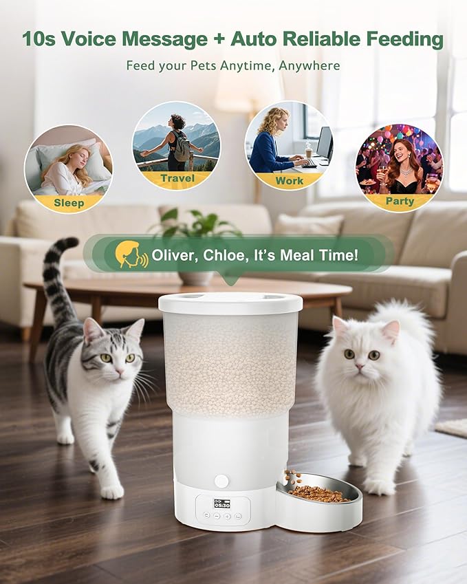 Gimars 5L/20 Cups Automatic Cat Feeder, Programmable 1-6 Meals Cat Food Dispenser with Stainless Steel Bowl, Easy Setup, Dual Power Supply,10s Meal Call Timed Pet Feeder for Cats and Small Dogs-PurrikoPets