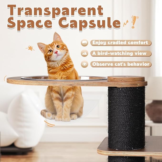 63'' Modern Cat Tree, Black Cat Tower with Scratching Post, Wooden Cat Tree for Indoor Cats Large Adult, Luxury Cat Furniture, Heavy Duty Activity Center with Transparent Bowl and Semi-Closed Condo-PurrikoPets