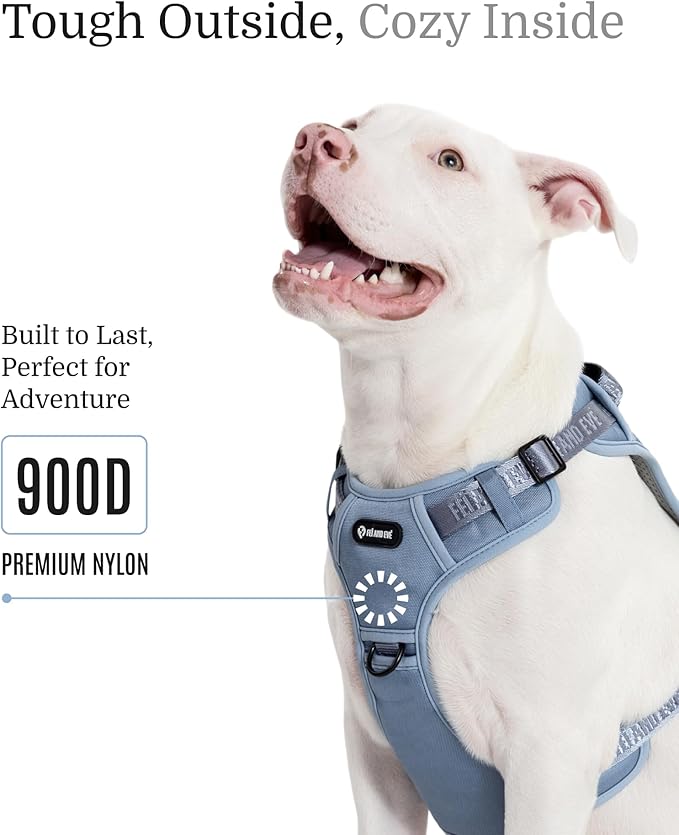 2025 New Edition, Fei & Eve MagEase Dog Harness - 3-Second Magnetic Buckles | 3-Point No-Pull Control | Heavy-Duty 900D Nylon | Dual Safety Handles | Breathable Mesh | Adjustable Fit | Large, Blue-PurrikoPets