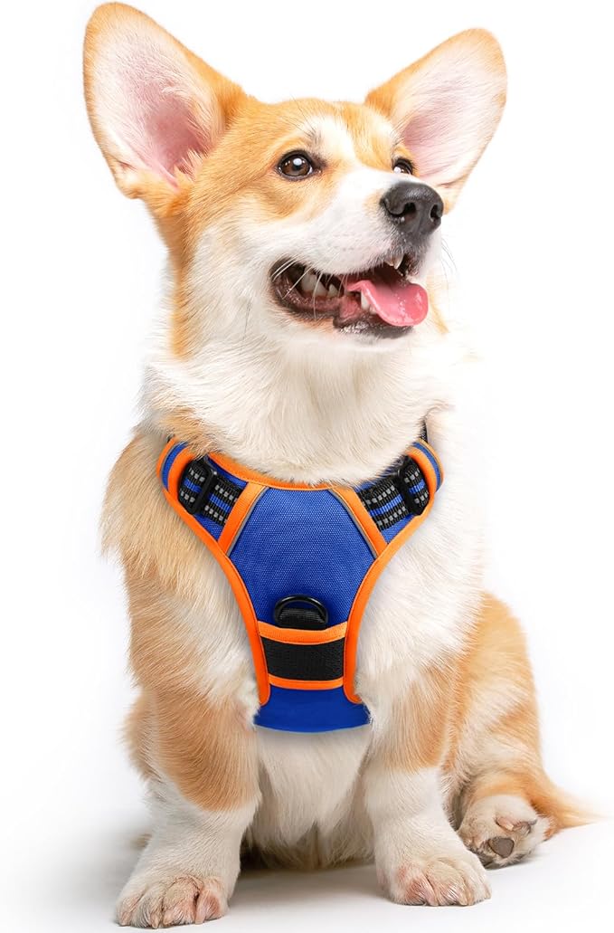 Eagloo Dog Harness for Large Dogs, No Pull Service Vest with Reflective Strips and Control Handle, Adjustable and Comfortable for Walking, No Choke Harness with 2 Metal Rings, Blue & Orange, M-PurrikoPets