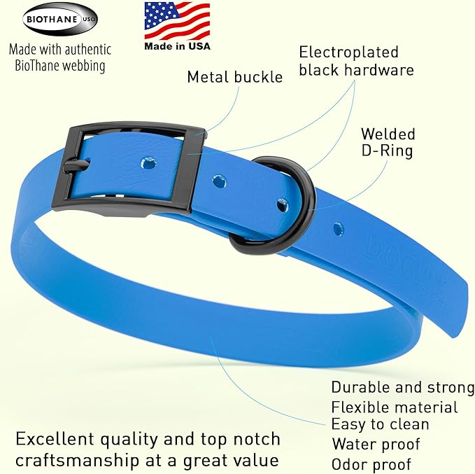 Dogline Biothane Waterproof Dog Collar Strong Coated Nylon Webbing with Black Hardware Odor- Proof for Easy Care Easy to Clean High Performance Fits Small Medium or Large Dogs, Cerulean Blue-PurrikoPets