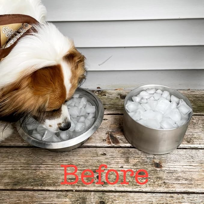 82oz Double Layers 304 Stainless Steel Dog Bowl - Insulated & Durable | Non-Slip Base | Easy to Clean | BPA-Free Safe Dog Food and Water Bowl-PurrikoPets