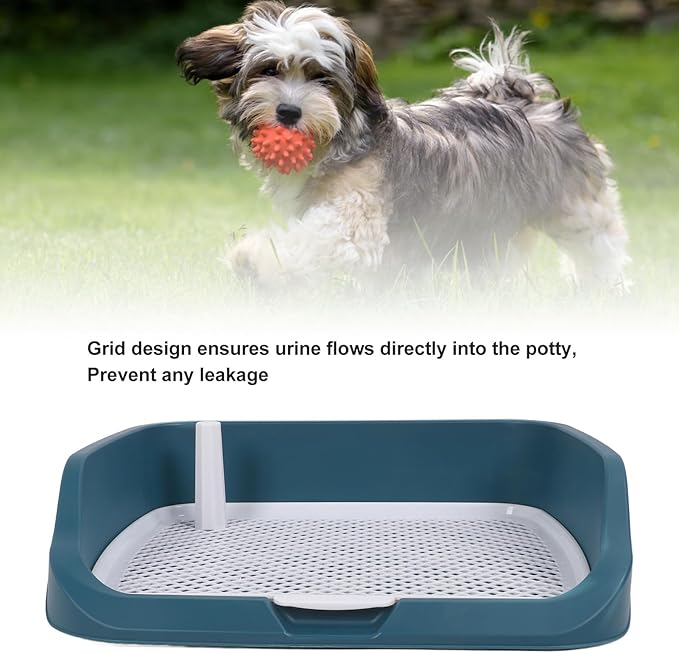 Fabater Dog Potty Toilet Training Tray, Portable Multifunctional Mesh Puppy Training Toilet Pad Holder with Bafflel for Small Dogs Puppies (Peacock Blue)-PurrikoPets
