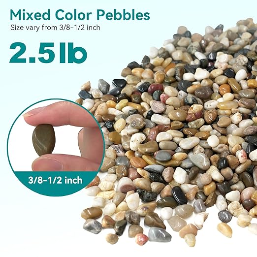 2.5 lbs Pebbles for Indoor Plants, Vase, Succulent, 3/8" Gravel for Plants, Pots Indoor, Bamboo Rocks for Bamboo Plants, Decorative Small River Rock, Highly Polished-PurrikoPets