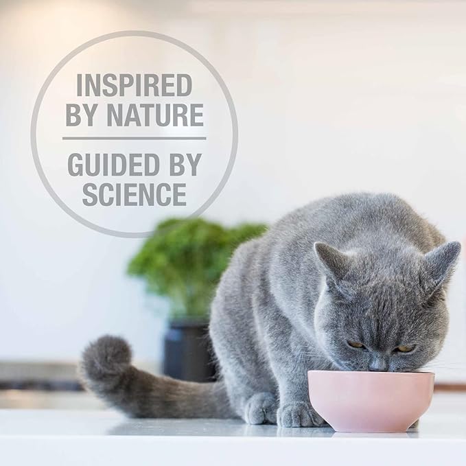 Feline Natural High Protein Dry Cat Food, Freeze-Dried Diet with 98% Meat, Organs & Seafood, No Peas, Grains, or Artificial Additives, Made in New Zealand, Chicken & Lamb, 11oz-PurrikoPets