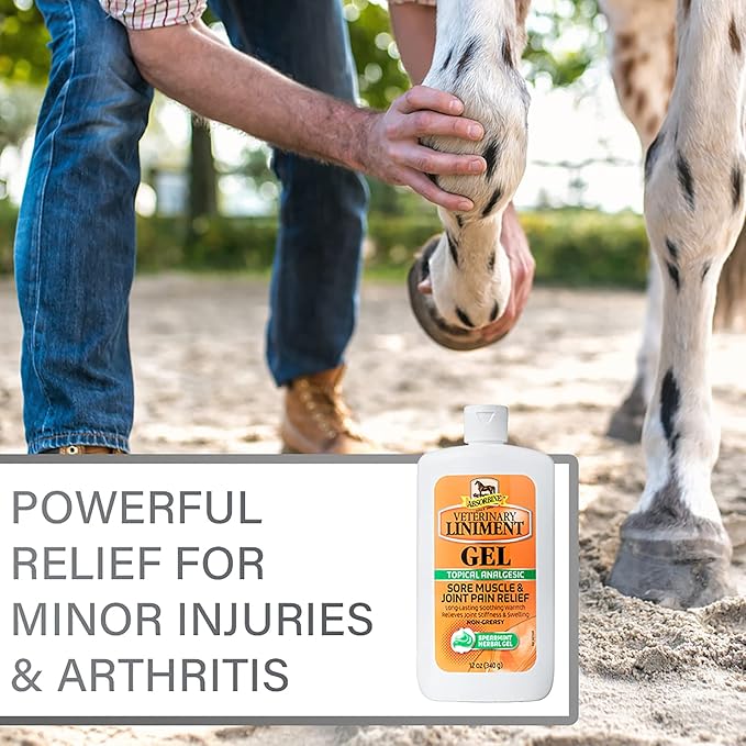 Absorbine Veterinary Liniment Gel, Topical Menthol Analgesic Rub for Sore Muscle, Joint & Arthritis Pain Relief, 12oz Bottle 2-Pack-PurrikoPets
