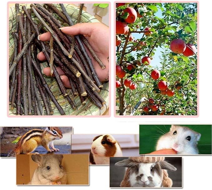 250g Apple Sticks Small Animals Molar Wood Treats Toys for Rabbits Chinchillas Guinea Pig Hamster Gerbil Parrot Bunny and Small Animals Chew Stick Toys Treats-PurrikoPets