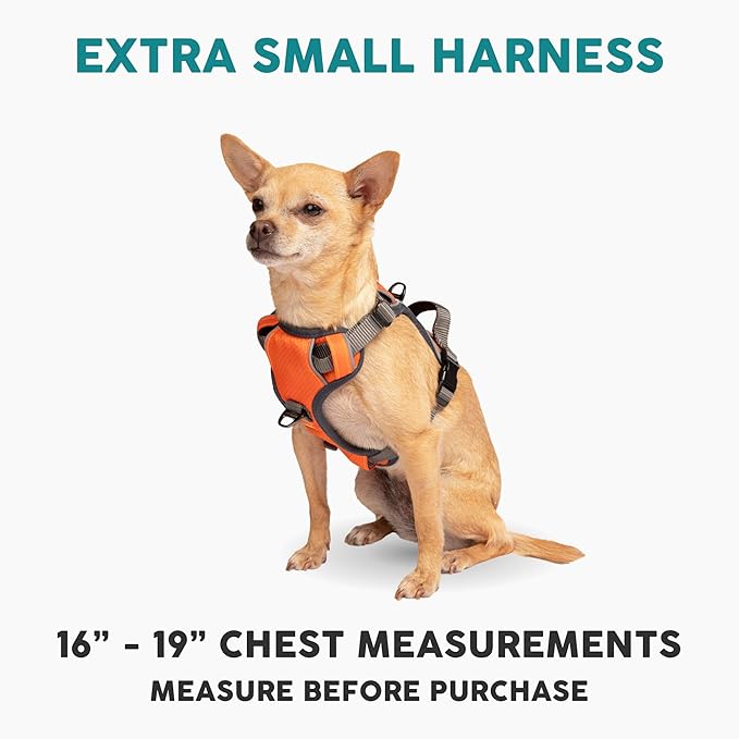 Embark Adventure Dog Harness, No-Pull Reflective Trim Dog Harness for Small, Medium & Large Dogs - Military Grade Nylon, 2 Leash Clips & Gel Lined Handle. Soft & Padded Puppy Dog Vest for Any Breed-PurrikoPets