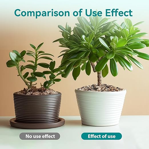 2.5 lbs Pebbles for Indoor Plants, Vase, Succulent, 3/8" Gravel for Plants, Pots Indoor, Bamboo Rocks for Bamboo Plants, Decorative Small River Rock, Highly Polished-PurrikoPets