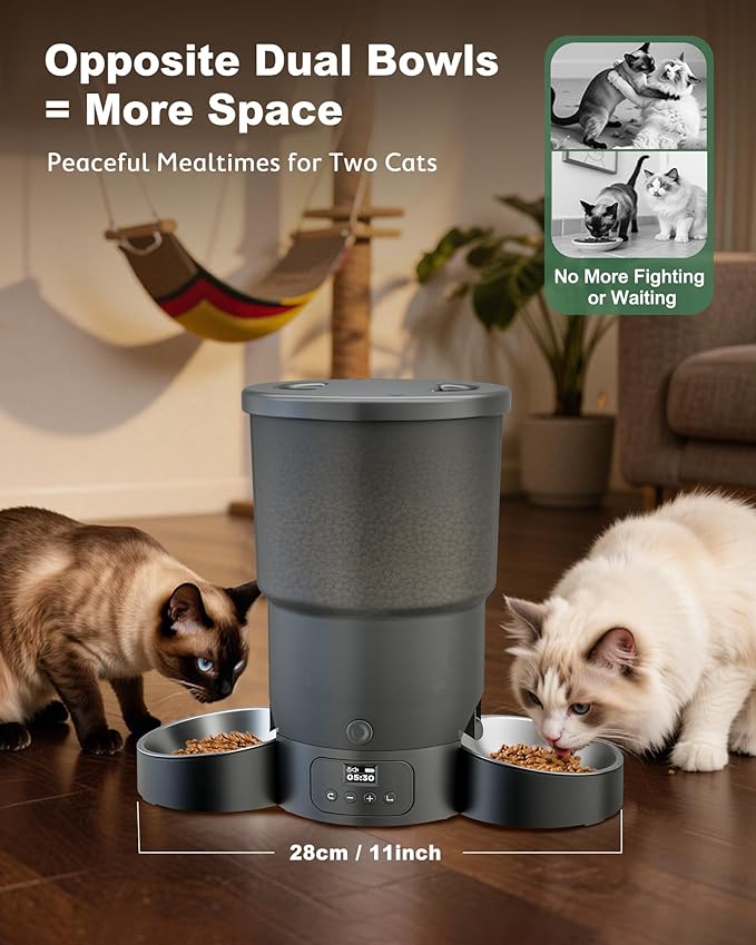 Gimars 5L Automatic Cat Feeder for 2 Cats, Programmable 1-6 Meals Cat Food Dispenser with Stainless Steel Bowl, Easy Setup, Dual Power Supply,10s Meal Call Timed Pet Feeder for Cats and Small Dogs-PurrikoPets