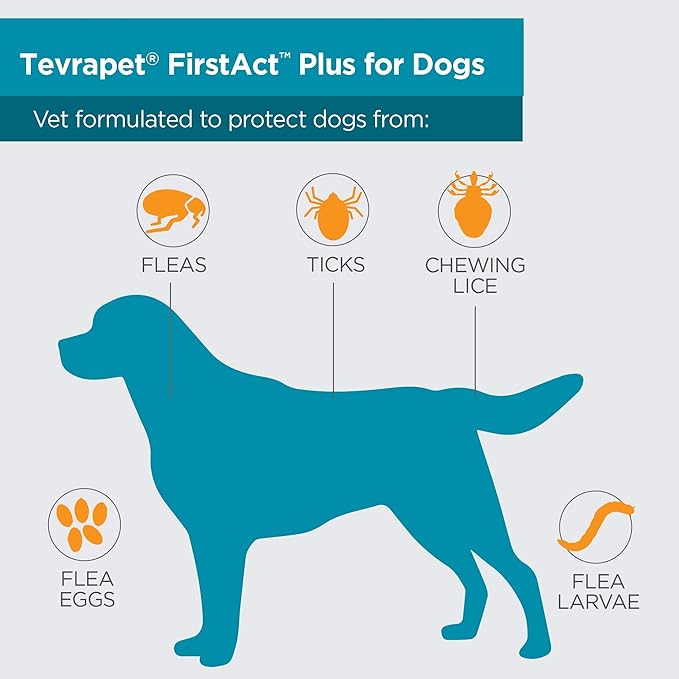 FirstAct Plus Flea Treatment for Dogs, Large Dogs 45-88 lbs, 6 Doses, Same Active Ingredients as Frontline Plus Flea and Tick Prevention for Dogs-PurrikoPets