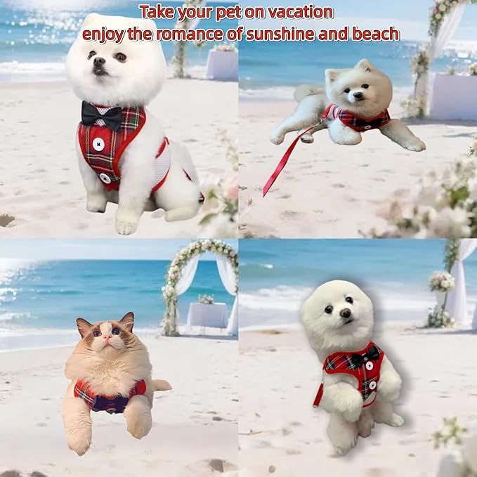 Dog Tuxedo for Wedding, Formal Pet Suit with Bow Tie and Leash, Adjustable Dog Costume for Small Medium Large Dogs, Birthday Christmas Halloween Party Apparel, M（8-14LB）-PurrikoPets