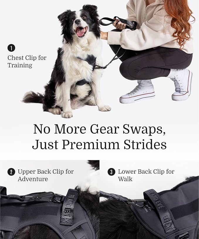 2025 New Edition, Fei & Eve MagEase Dog Harness - 3-Second Magnetic Buckles | 3-Point No-Pull Control | Heavy-Duty 900D Nylon | Dual Safety Handles | Breathable Mesh | Adjustable Fit | Large,Black-PurrikoPets