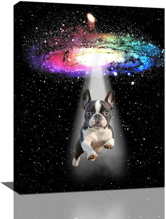 Funny Dog Wall Art Canvas Boston Terrier Wall Decor Prints Framed Painting Bulldog Galaxy Pictures Gifts Artwork for Bathroom 16"x20"-PurrikoPets