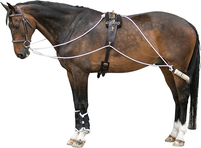 Advanced European Training System | Advanced Training Tool | Enhances Horse Carriage and Headset | Encourages Forward Movement | Strengthens Key Muscles | Not for Beginners-PurrikoPets