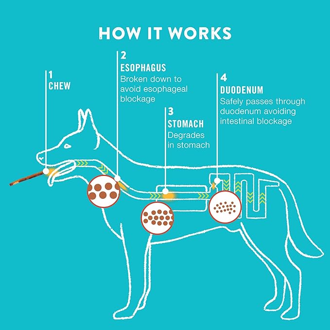 5" BBQ Collagen Skewers - Collagen Dog Chews - Long Lasting Healthy Joint Support Dog Treat - Rawhide Alternative - Skin & Coat Health, 1 Bag, 15 Count-PurrikoPets