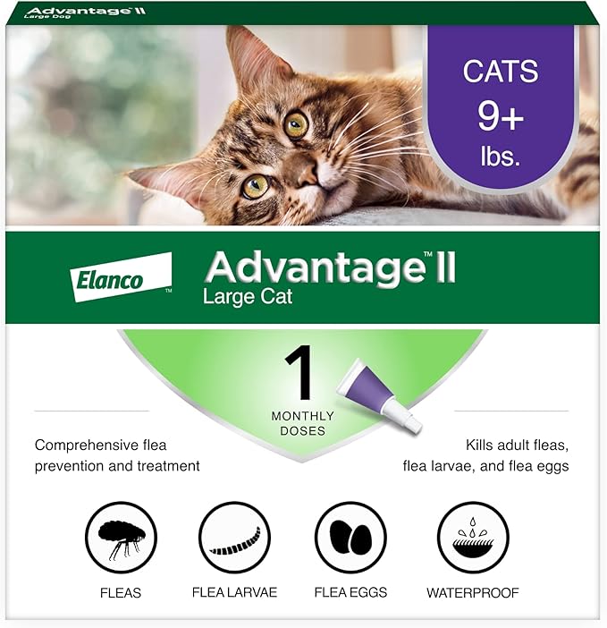 Advantage II Large Cat Vet-Recommended Flea Treatment & Prevention | Cats Over 9 lbs. | 1-Month Supply-PurrikoPets