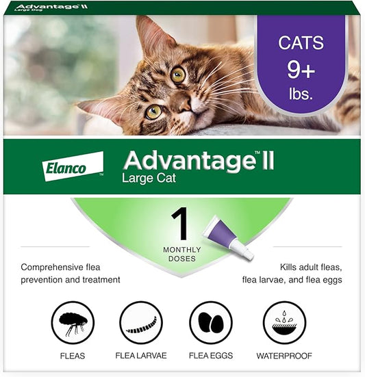 Advantage II Large Cat Vet-Recommended Flea Treatment & Prevention | Cats Over 9 lbs. | 1-Month Supply-PurrikoPets